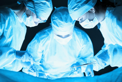 Corso di Dissezione Anatomica – Accademia Asfom